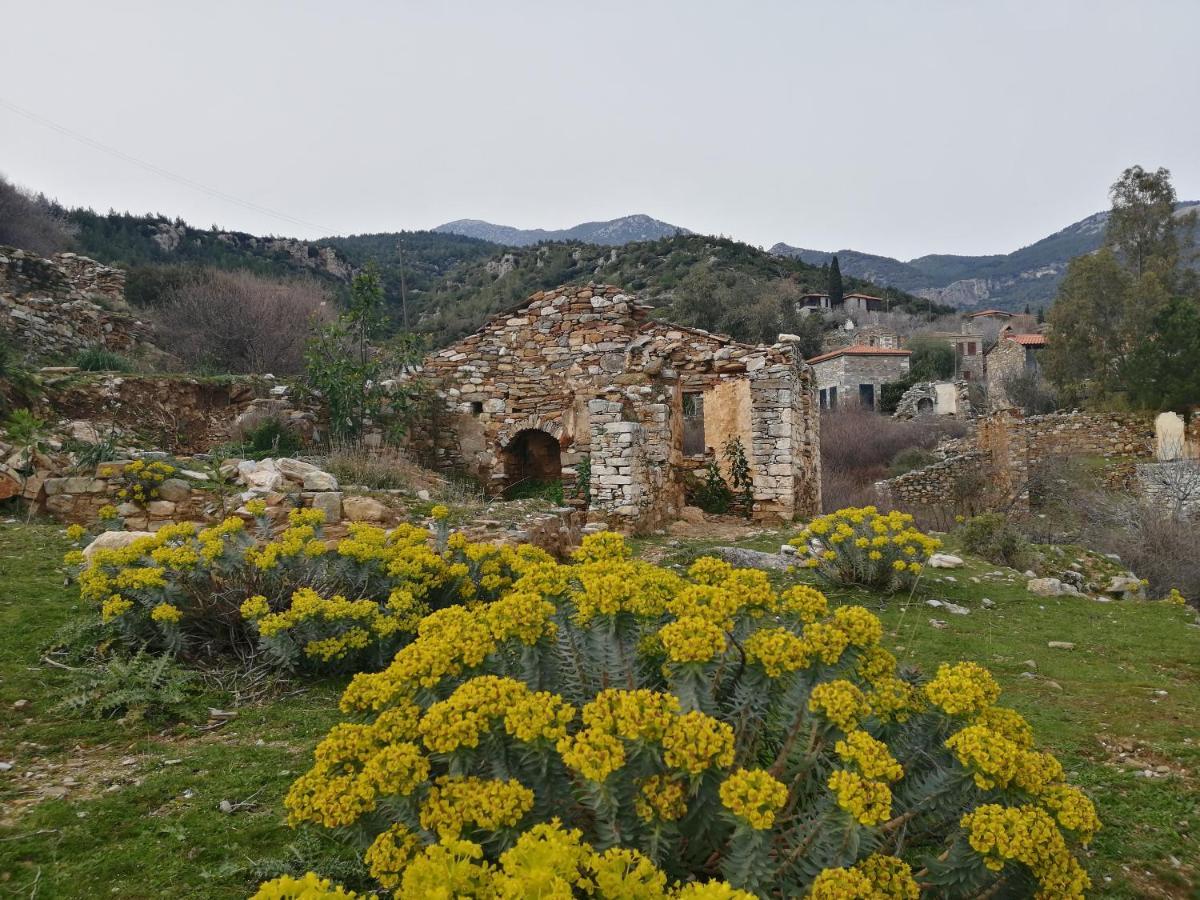 Puli Stone Houses Doganbey  ภายนอก รูปภาพ